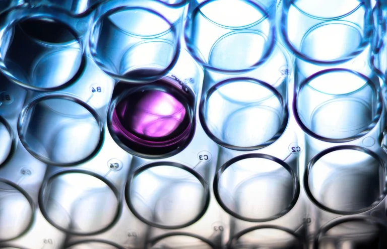 Злокачественные лимфоидные опухоли высокого риска: итоги