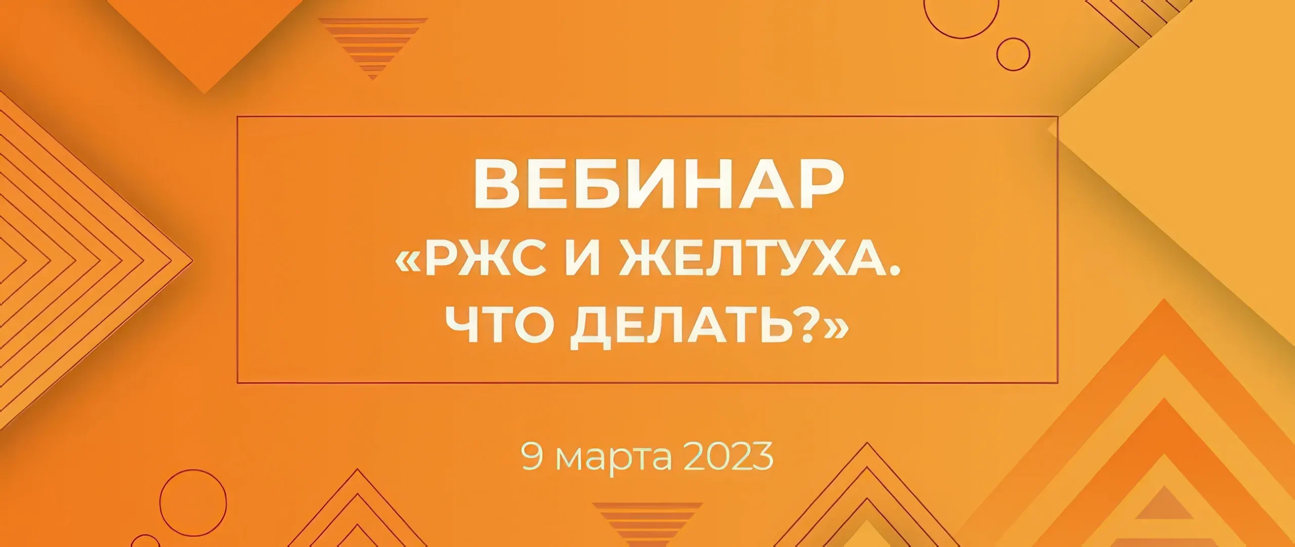 Вебинар «РЖС и желтуха. Что делать?»