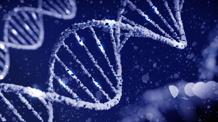 Оптимизация терапии через призму фармакогенетики